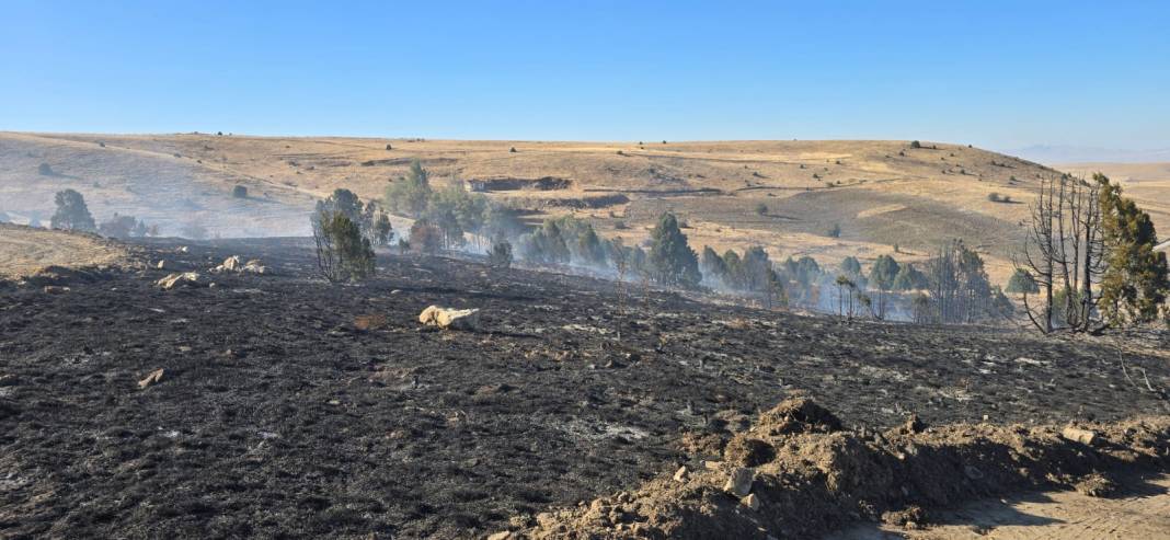 Konya’da piknikçi ateşi ormanı yaktı 12